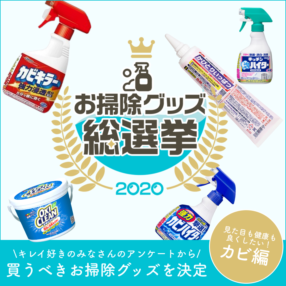 年末 ストア 掃除 グッズ カビ