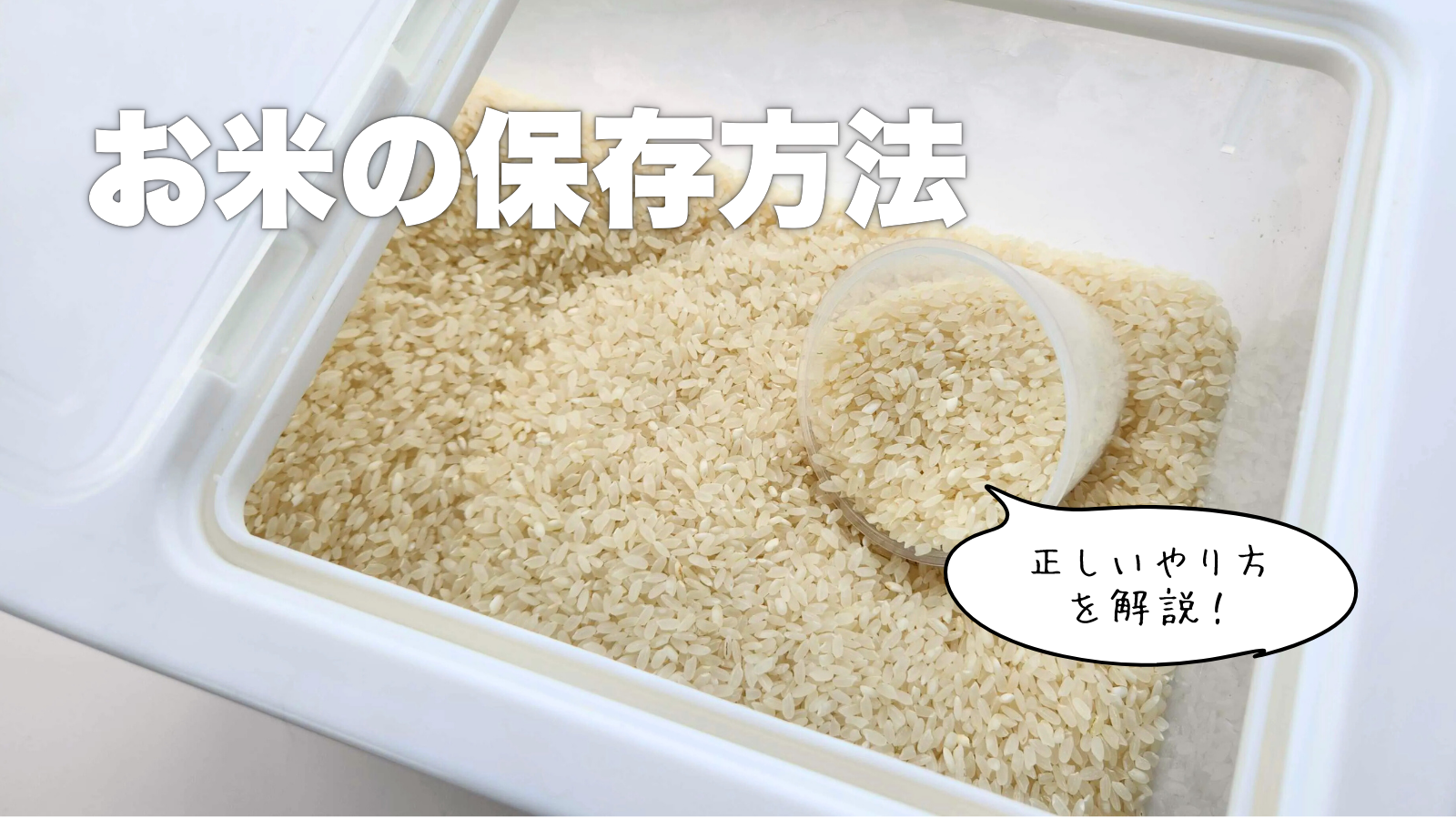 お米の保存方法